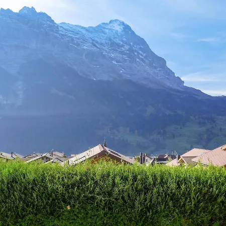 Albi By Interhome * Grindelwald
