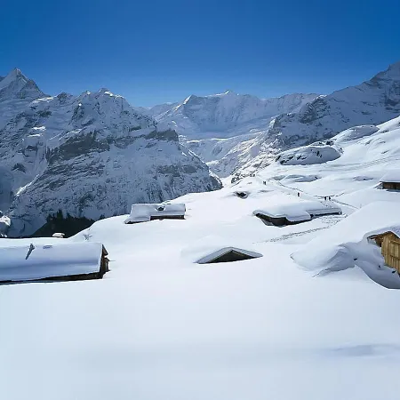 Albi-2 By Interhome Apartment Grindelwald