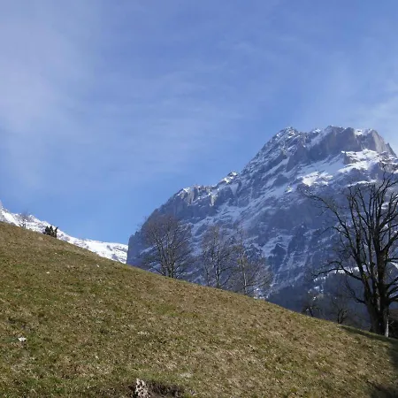 Albi-2 By Interhome Apartmán *