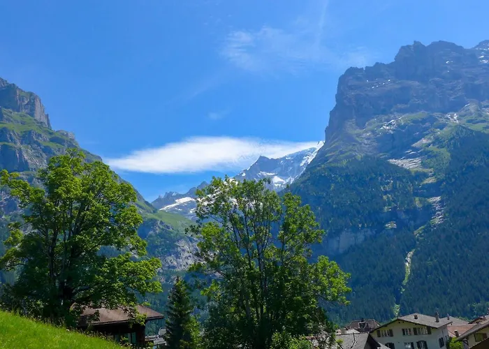 Albi-2 By Interhome Apartment