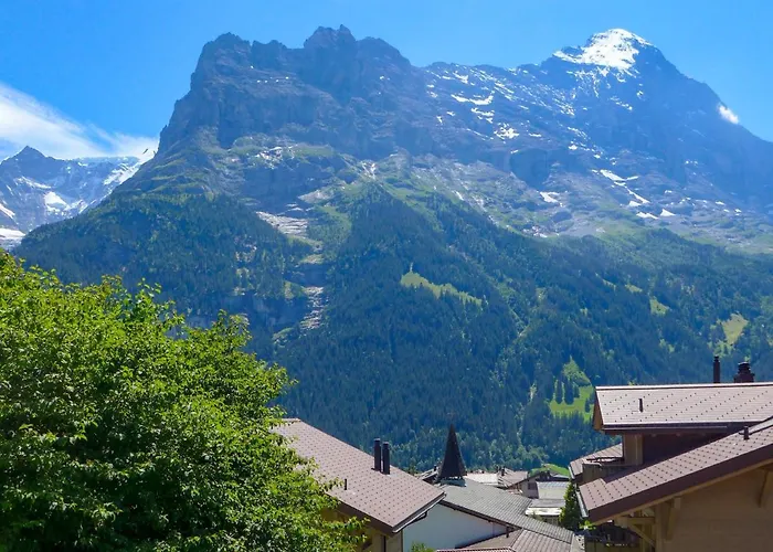 Albi-2 By Interhome شقة