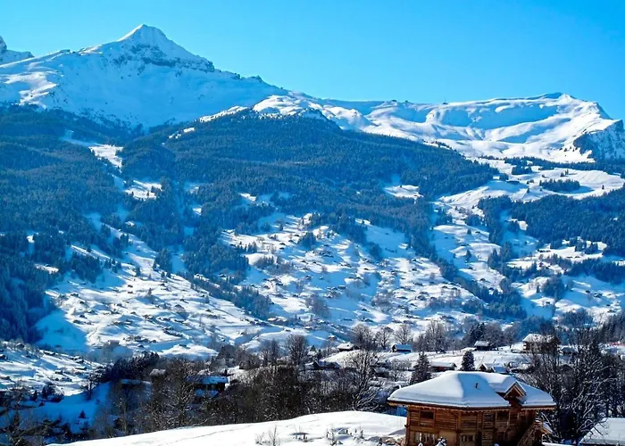 Apartment Albi-2 By Interhome *