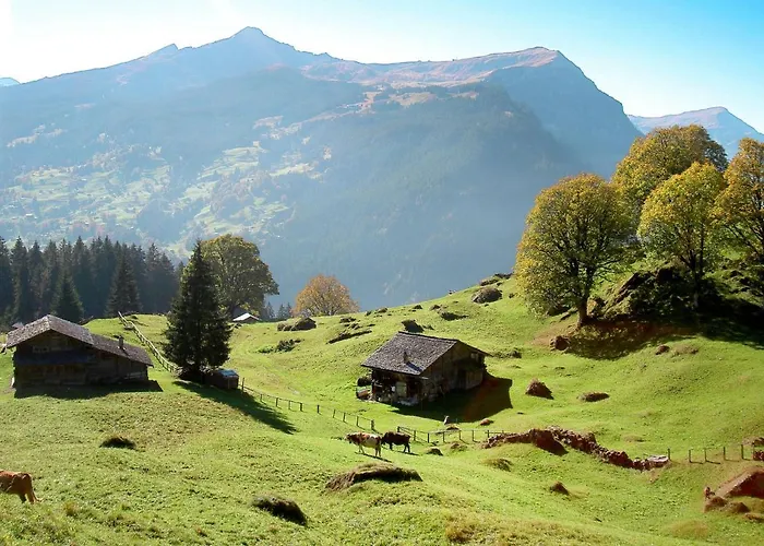 شقة Albi-2 By Interhome *