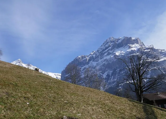 Albi-2 By Interhome شقة *