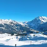 Albi-2 By Interhome * Grindelwald