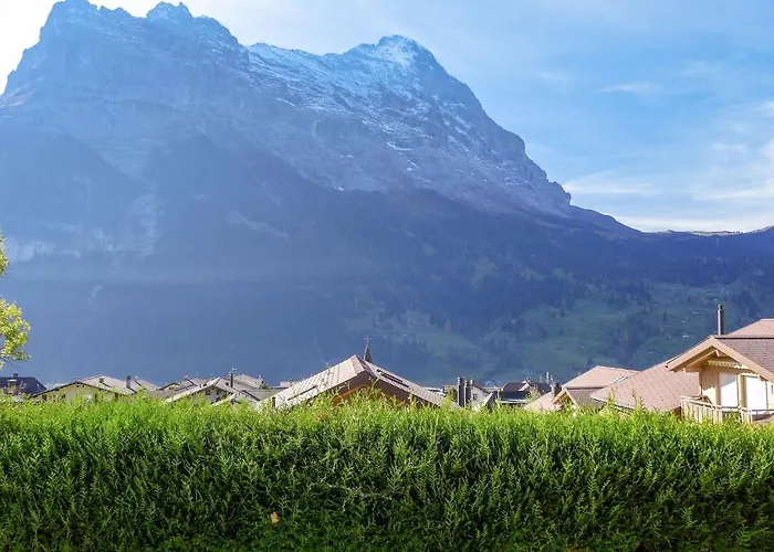 Albi-2 By Interhome * Grindelwald